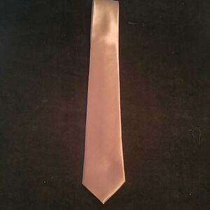MEN'S BROWN SATIN RAYON SLIM TIE BY FRATELLO